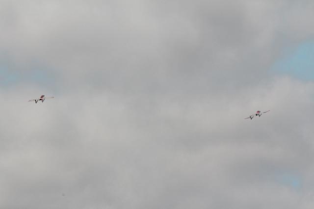 IMG 2723