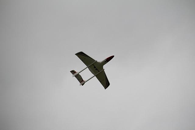 IMG 2793
