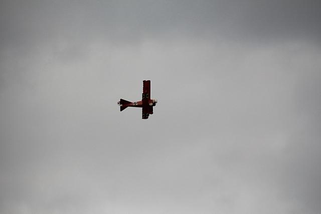 IMG 2809