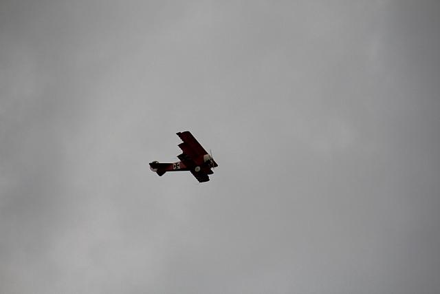 IMG 2812
