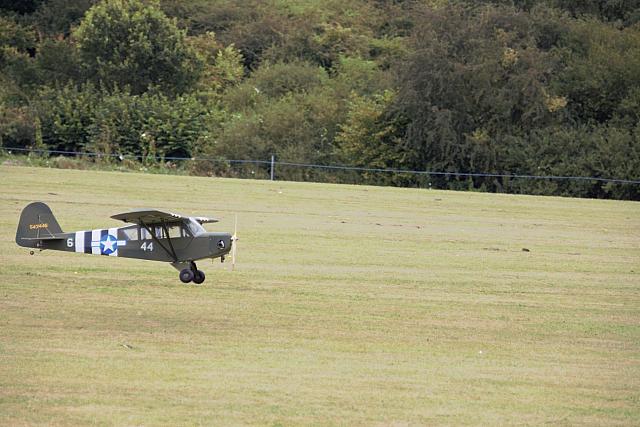 IMG 2940