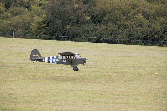 IMG 2941