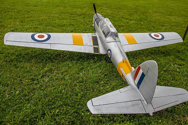 13613636 10153771682916274 2039818934286892969 o