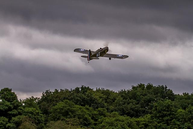 13640959 10153771685141274 15139189269192034 o