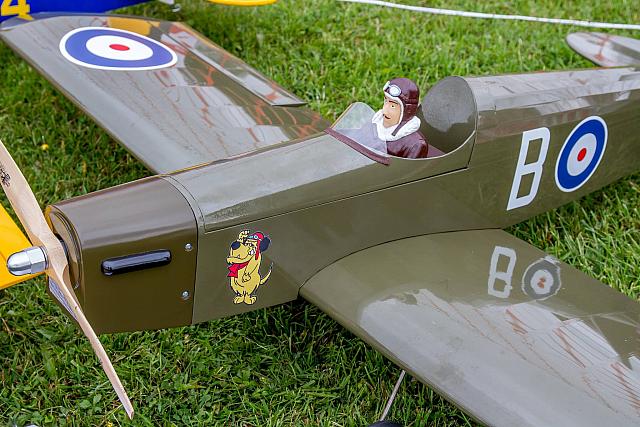 13641308 10153771683186274 4984530991135103306 o