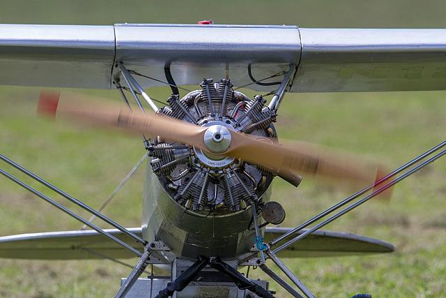 19693858 1966091256958558 4363373660175349679 o