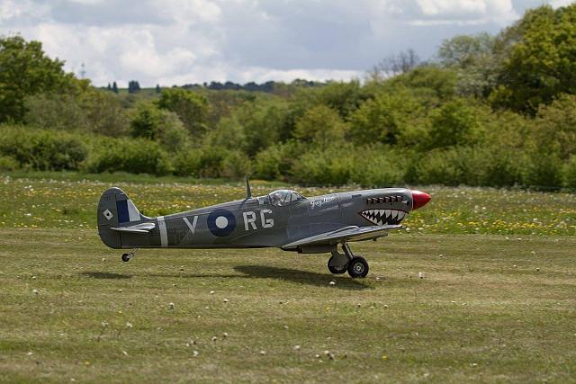 18518108 1943735182527499 8856491504010944865 o