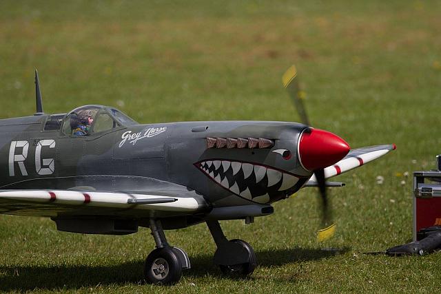 18518120 1943734672527550 8331815026136154207 o