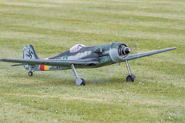 18518122 1943741599193524 4240035542221622763 o