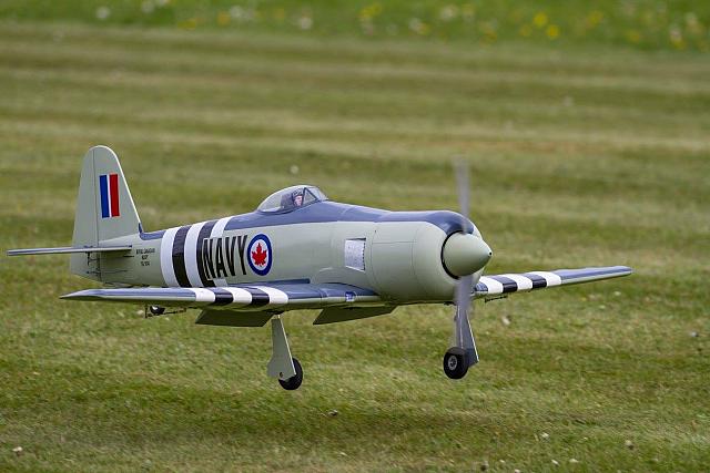 18518160 1943723279195356 2642751153407626675 o