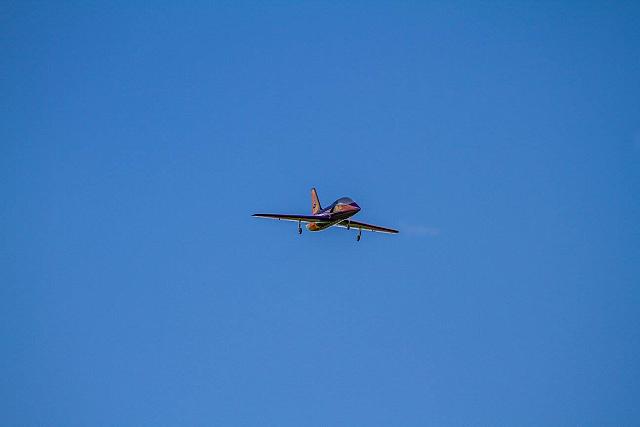 18518356 1944137802487237 4078739073955777107 o