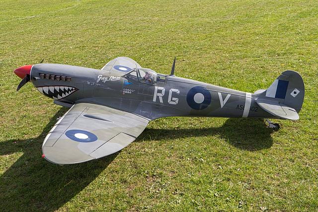 18527044 1944148335819517 1511194730563737236 o