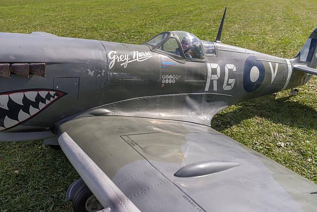 18527076 1944146649153019 1534282913917287614 o