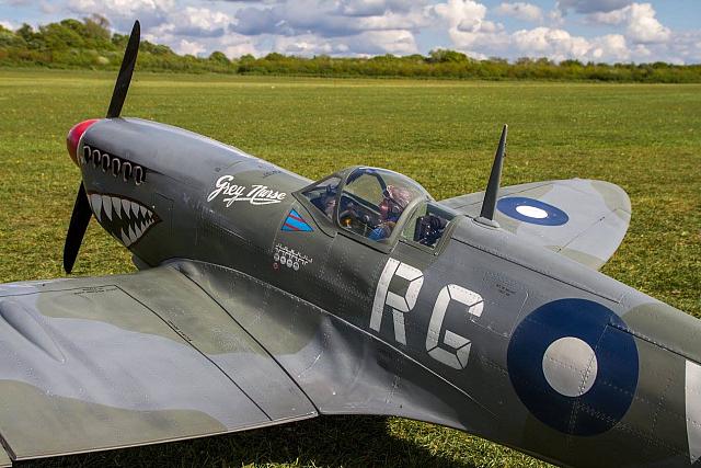 18527092 1943723749195309 7082024797516529204 o