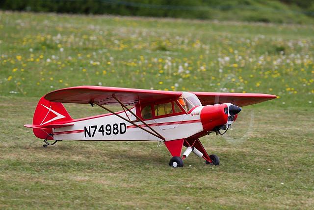 18527177 1943740489193635 2913811959921073636 o