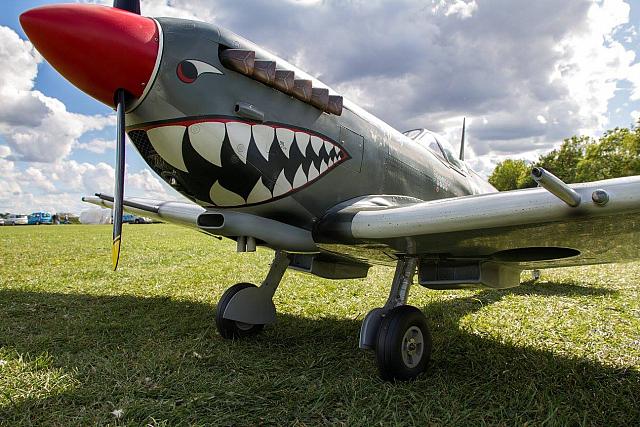 18527282 1944139969153687 7977501181114903702 o