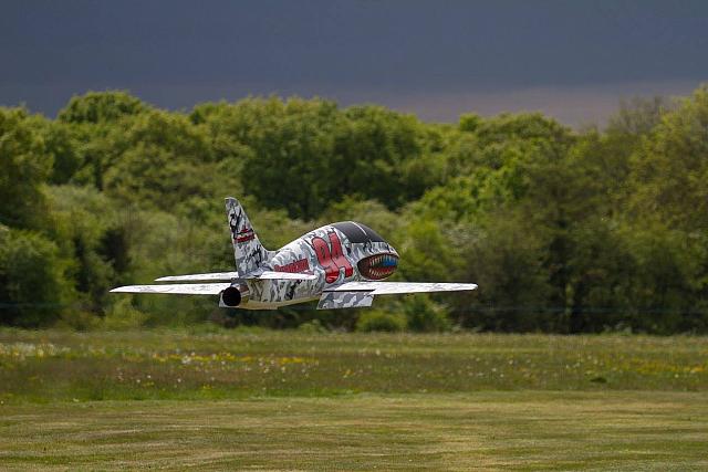 18527307 1943743785859972 3682603857576657347 o