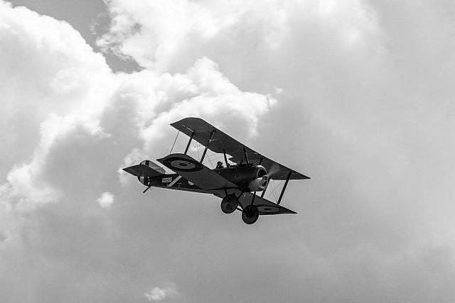 18527373 1943732325861118 2159121881359756766 o