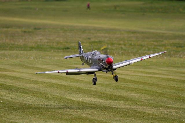 18527401 1943743022526715 8546066772274394599 o