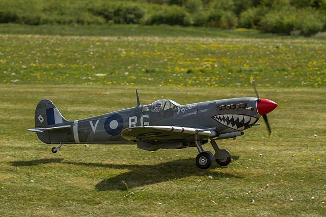 18556442 1944135609154123 4402619202824942774 o