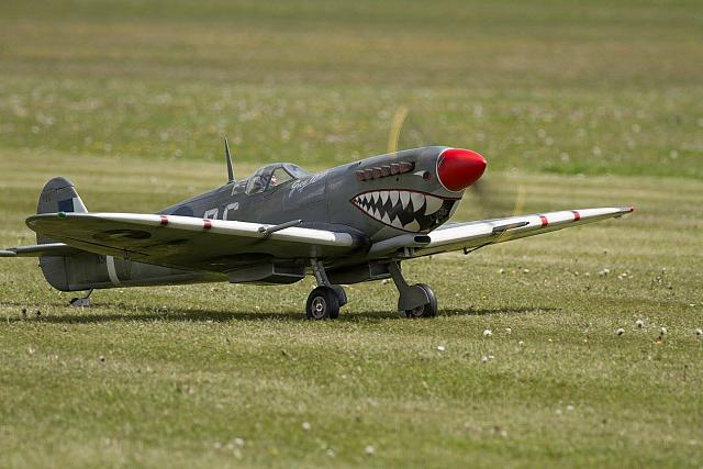 18556462 1943735039194180 8915017913634896219 o