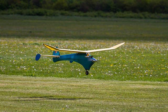 18556475 1943734912527526 8918510439705395577 o