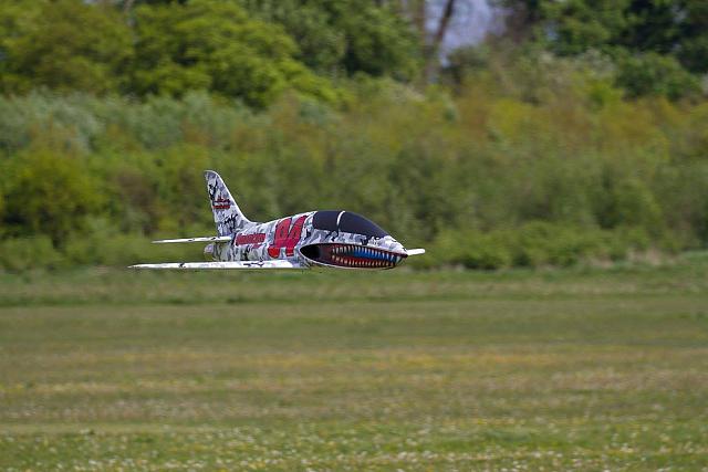 18556485 1943743329193351 1031623711055627718 o