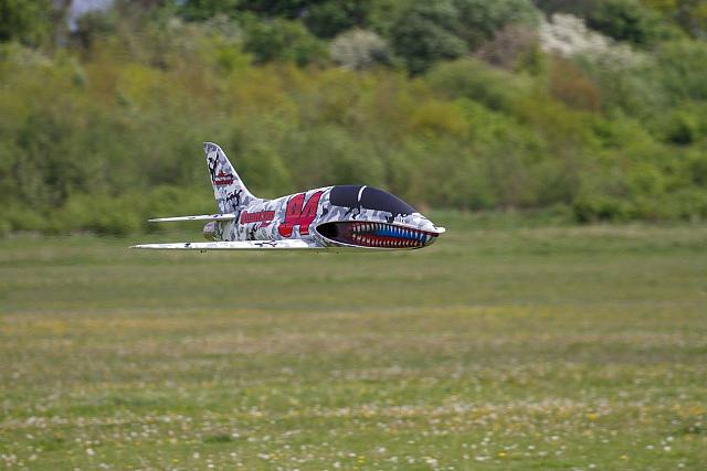 18556491 1943743212526696 3954654217221585958 o