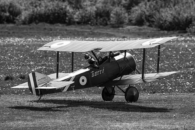 18556497 1943731532527864 5426698401993044429 o