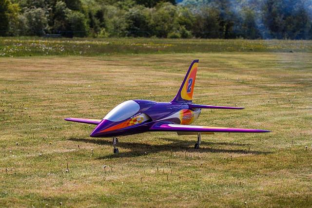 18556501 1944138979153786 7873738310471284737 o