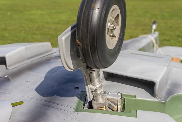 18556526 1944146349153049 3487826516636094637 o