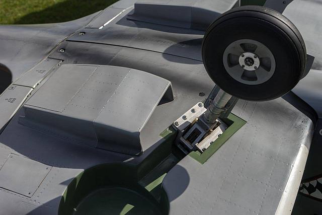 18556555 1944146342486383 2044718549279202417 o