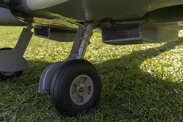 18556556 1944146562486361 5592640246474449256 o