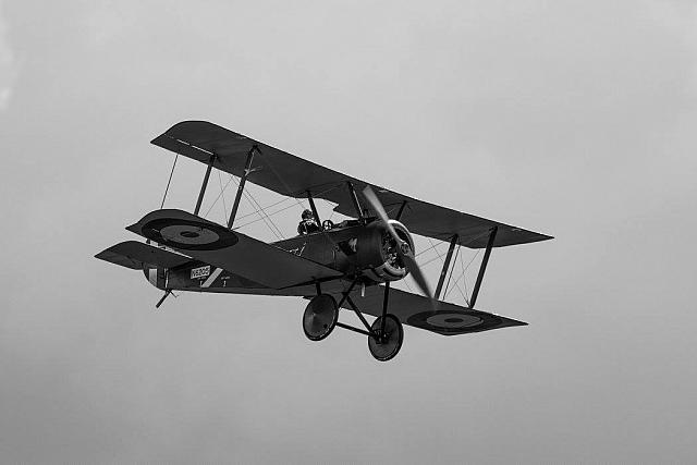 18556597 1943731865861164 531347944076595468 o