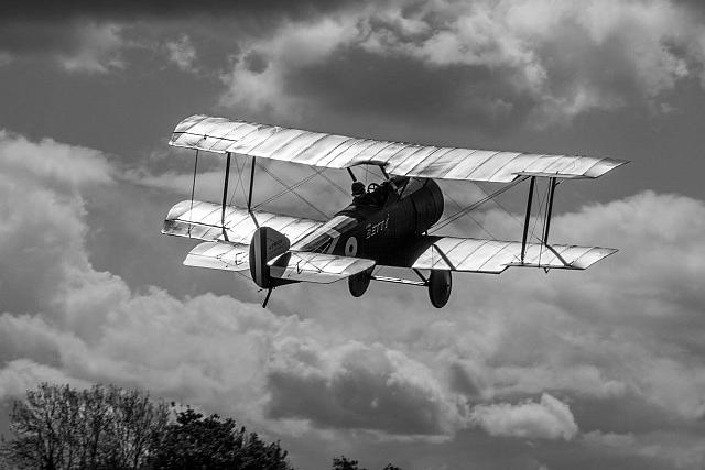 18556611 1943732529194431 4654385314336699050 o