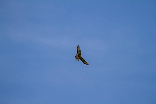 18556638 1943745125859838 8144337837083562584 o