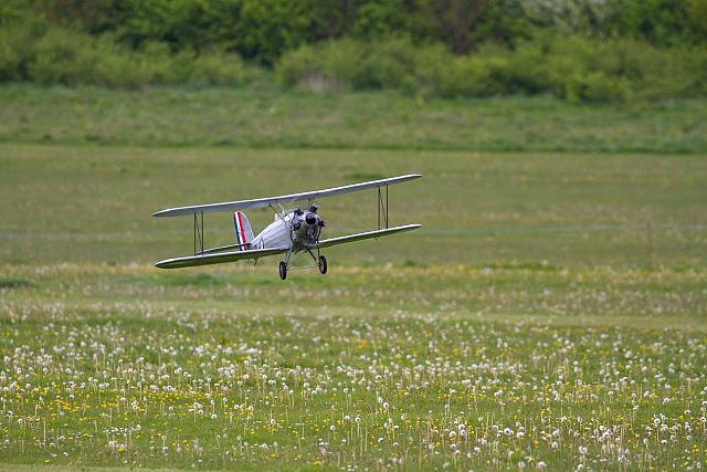 18556875 1943745389193145 3147157111116788955 o