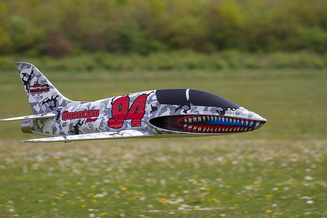 18556897 1943743322526685 8943162653775891312 o