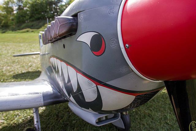 18558544 1944139755820375 7903535151096209200 o