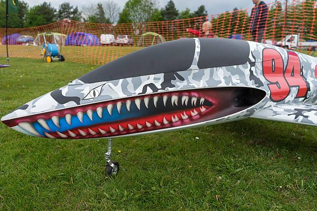 18558599 1944147025819648 4868784033673542796 o