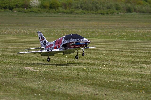 18558768 1943743149193369 8188922362278667413 o