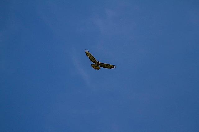 18558888 1943745409193143 1663756591672226362 o