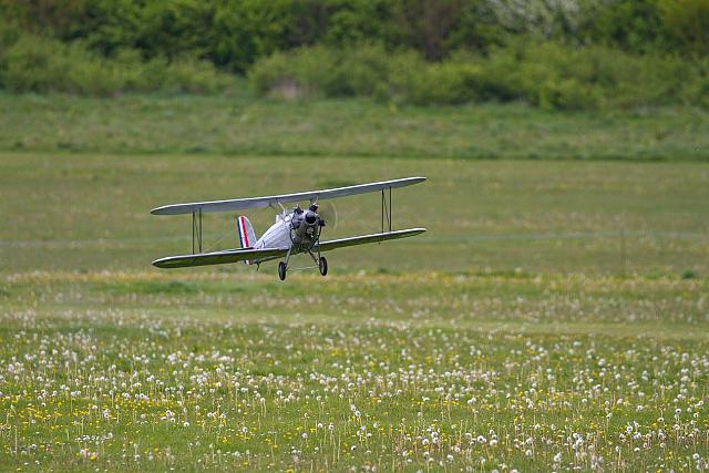 18558900 1943745385859812 5988249221853451622 o