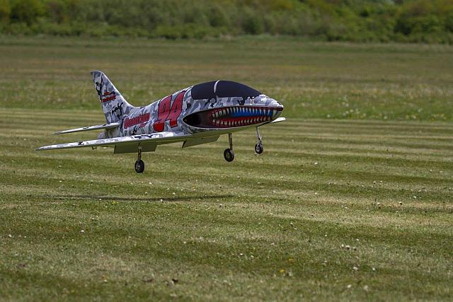 18589115 1943743272526690 376161649472639149 o