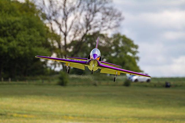 18595182 1944137685820582 6588268149377514491 o