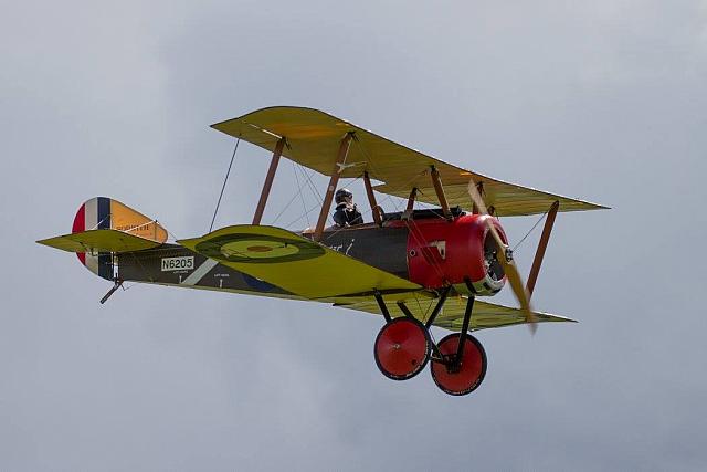 18595388 1943731875861163 3910837977358654200 o