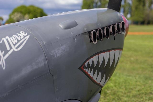 18595401 1944146082486409 2496497104247826801 o