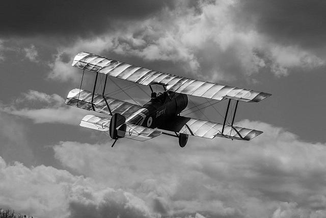 18620569 1943732659194418 6291777294851702911 o