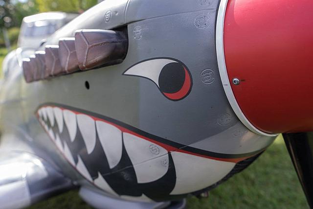 18620607 1944146072486410 6364924191978997639 o