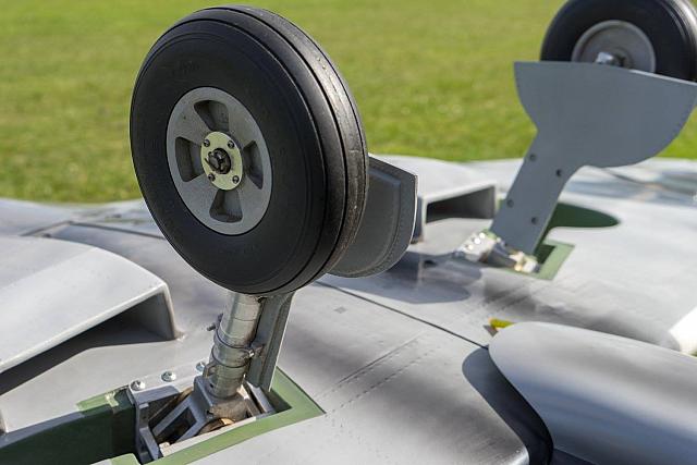 18620618 1944146179153066 8452103729537633919 o